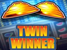 Twin Winner meerspeler gokkast